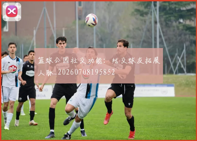 篮球公园社交功能：结交球友拓展人脉_20260708195852